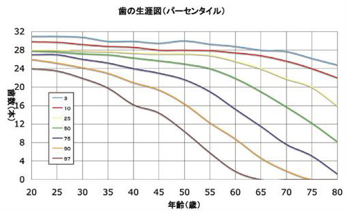 歯の生涯図